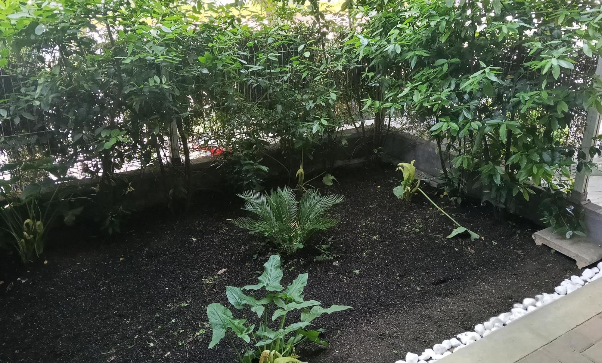 Appartamento La Bonifica ペスカーラ エクステリア 写真
