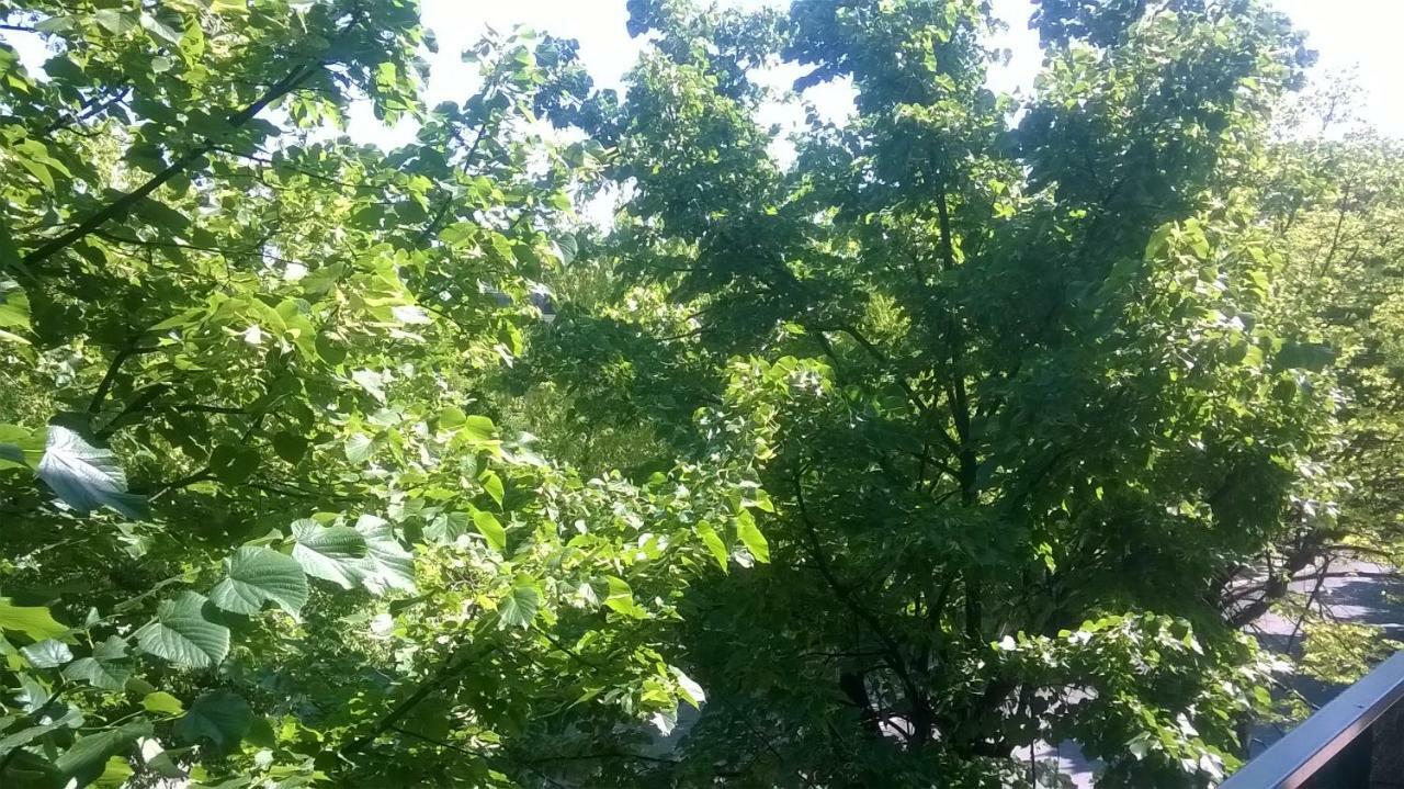 Appartamento La Bonifica ペスカーラ エクステリア 写真
